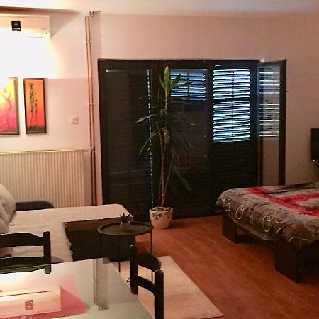Dusica Apartmani Ягодина Екстериор снимка