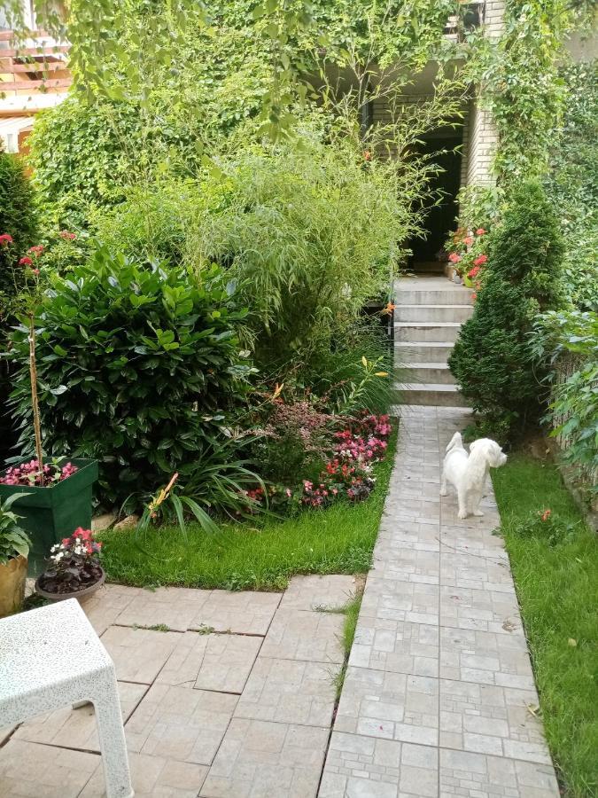 Dusica Apartmani Ягодина Екстериор снимка