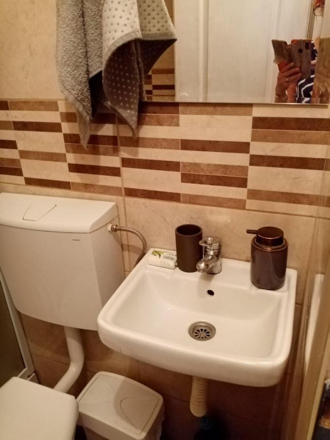 Dusica Apartmani Ягодина Екстериор снимка