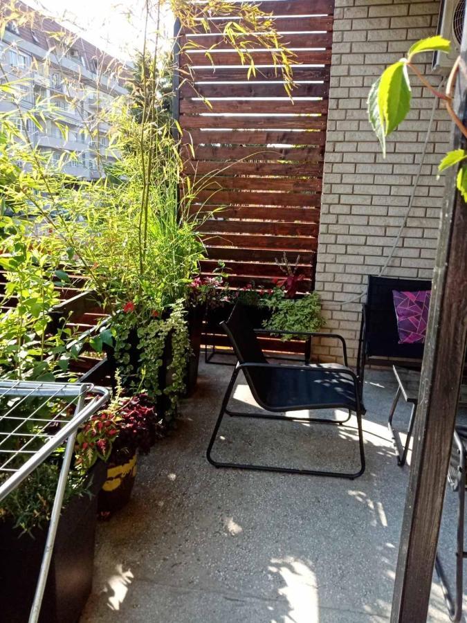 Dusica Apartmani Ягодина Екстериор снимка