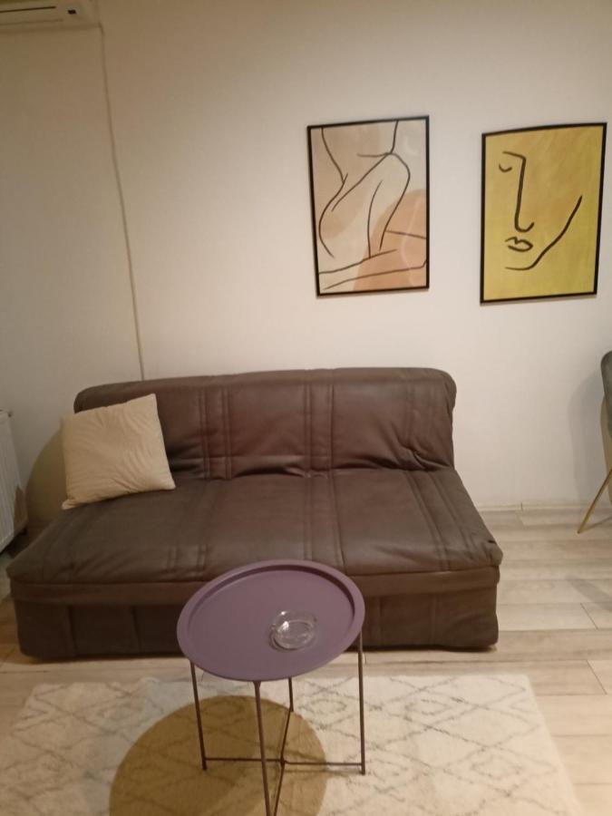 Dusica Apartmani Ягодина Екстериор снимка