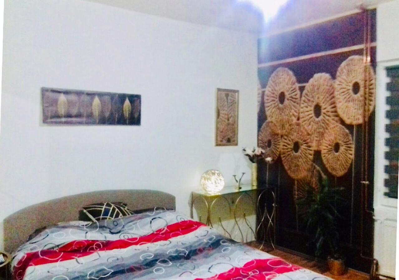 Dusica Apartmani Ягодина Стая снимка