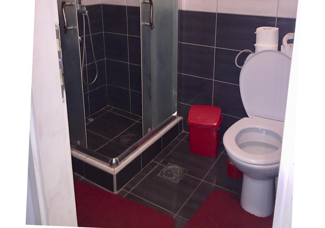 Dusica Apartmani Ягодина Стая снимка