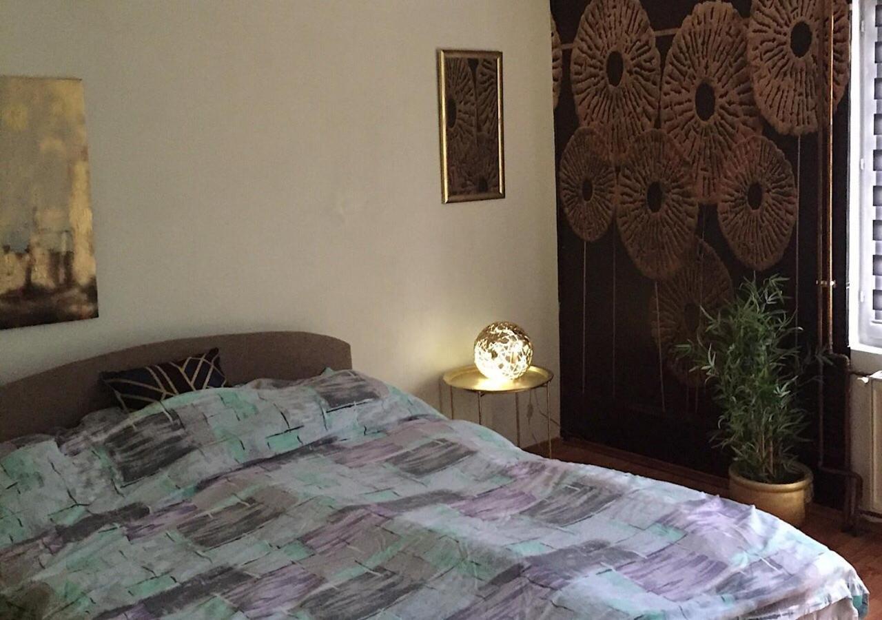Dusica Apartmani Ягодина Екстериор снимка